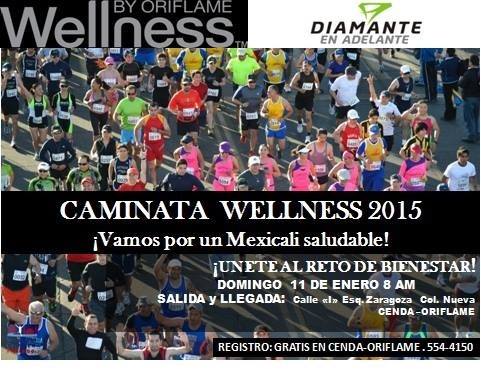 CAMINATA WELLNESS 2015